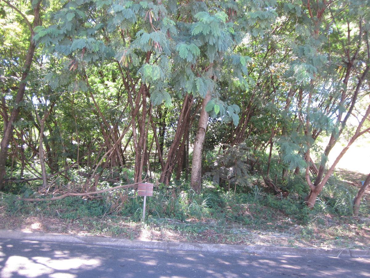 Hostel Famille Brun Trevo São João da Boa Vista Bagian luar foto